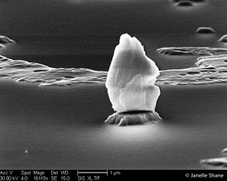 Illustration for article titled 16 Incredible Animals and Landscapes You Can Only See With a Microscope